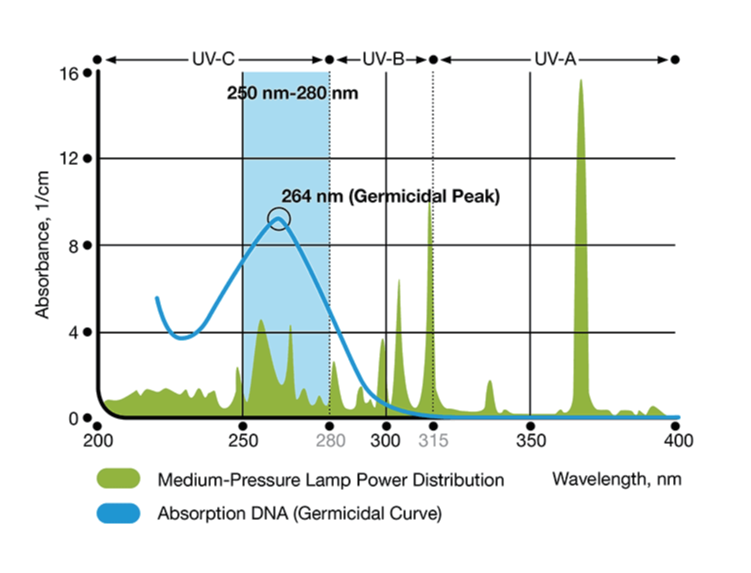 Medium Pressure UV Light Disinfection Effect.png