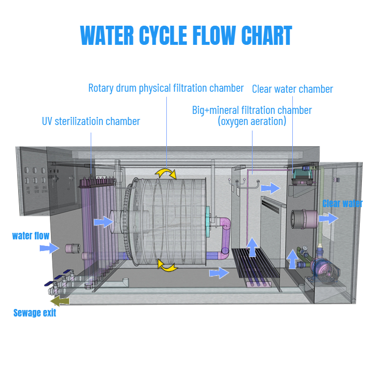 Water's Journey Through the Gravity-fed Filter:.jpg