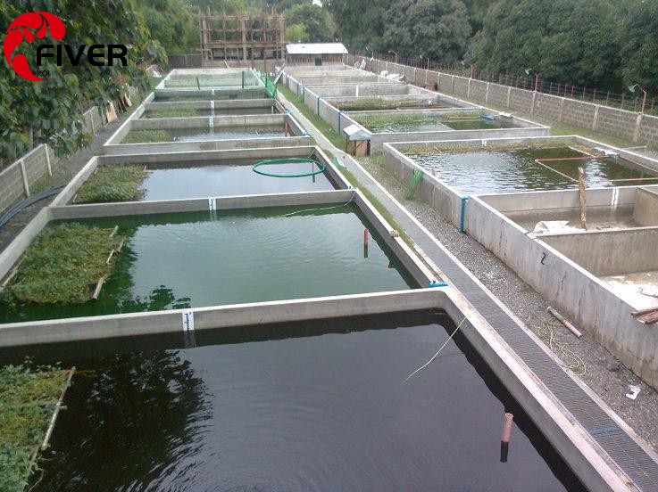 Fish-farming.jpg