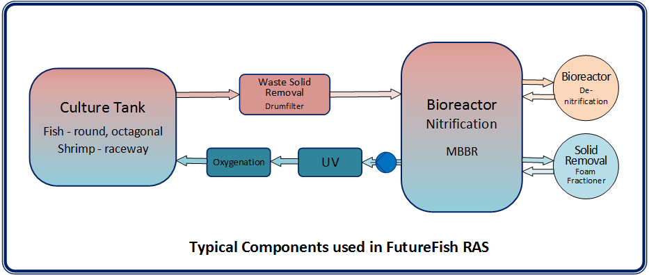 RAS Recirculating Aquaculture System Diagram.png